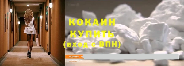 гашик Вязьма