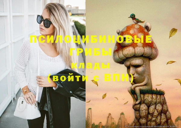 марки lsd Вяземский