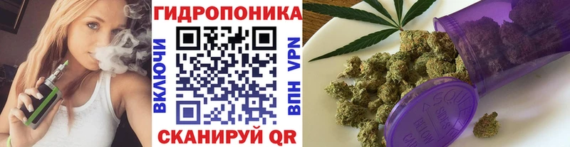 Канабис OG Kush  Мончегорск 